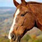 474592823_10236281281881904_5027179159185107477_n