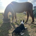 509599748_10238232217654079_7548298422289270199_n