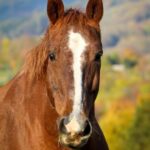 557549711_10239928513540416_3216876405951021153_n